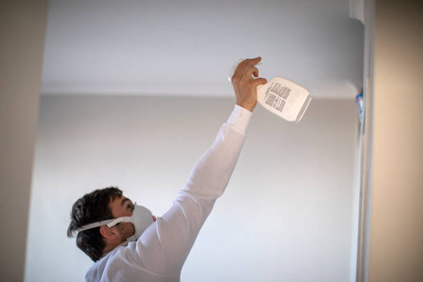 Best Water Damage Restoration  in Waltham, MA